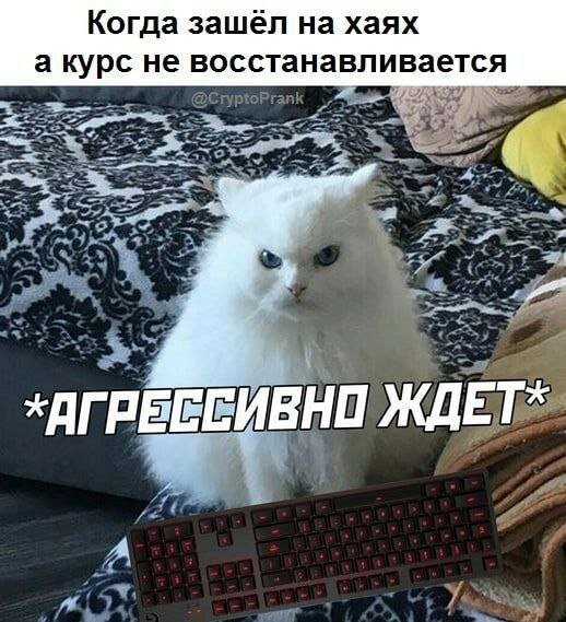 Шутки и мемы про инвесторов