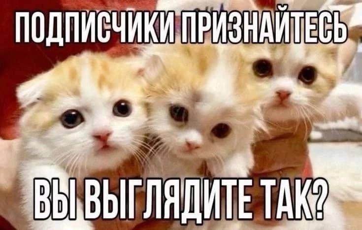 Улыбайтесь, господа, улыбайтесь! (12/12/2024)