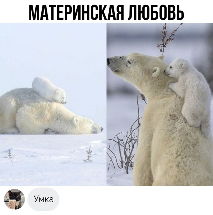 Улыбайтесь, господа, улыбайтесь! (14/11/2024)