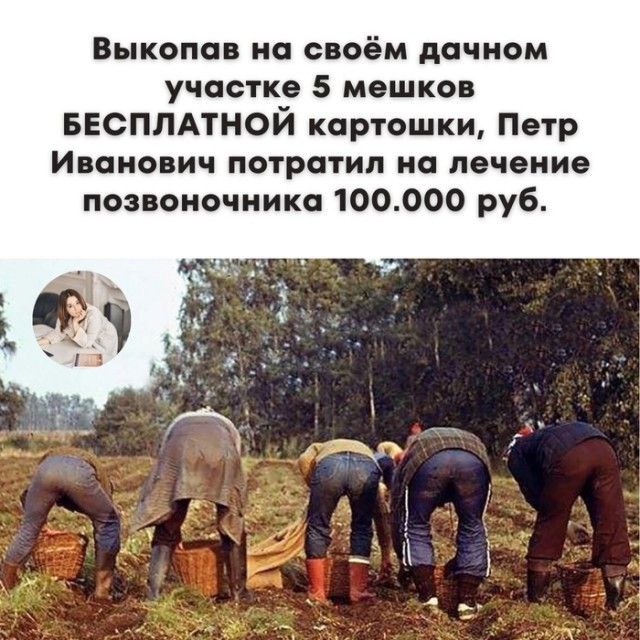 Улыбайтесь, господа, улыбайтесь! (17/12/2024)