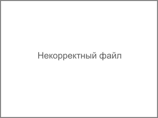 Подборка забавных твитов (10/06/2024)