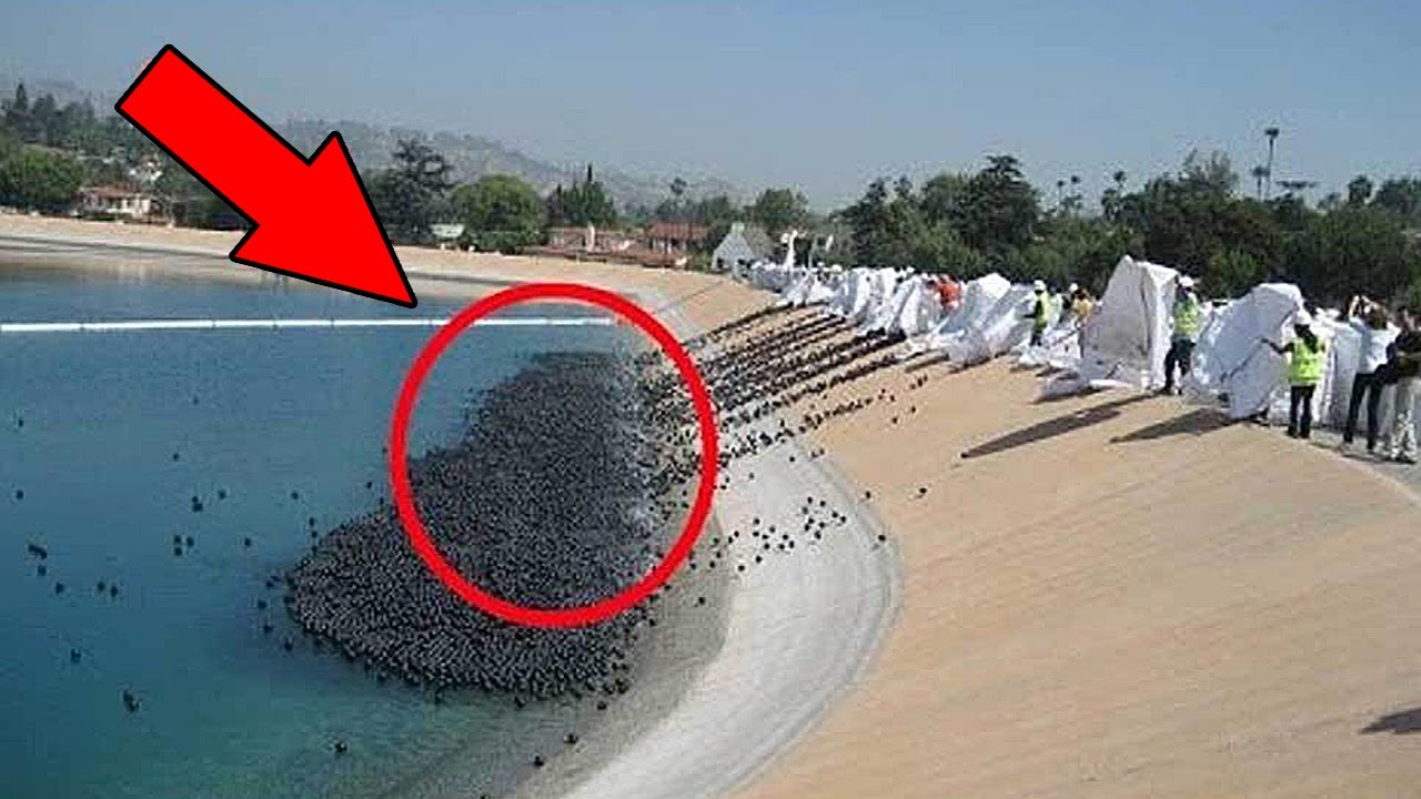 Дэниел рэдклифф роли. 10 безумных. 10 безумных. 10 безумных. 10 безумных.