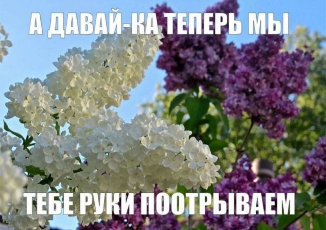 Прикольные картинки 20 фото от 7 июня 2024 | Екабу.ру - развлекательный ...
