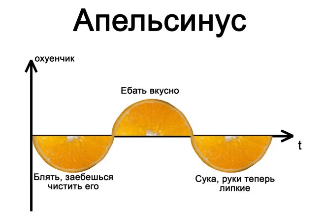 Улыбайтесь, господа, улыбайтесь! (21/06/2024)