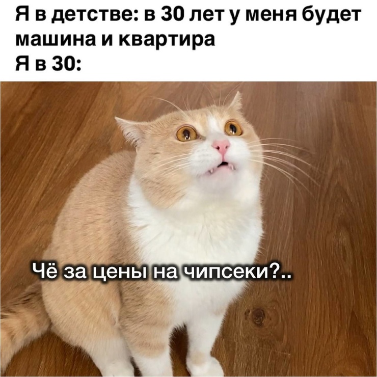 Улыбайтесь, господа, улыбайтесь! (25/12/2024)