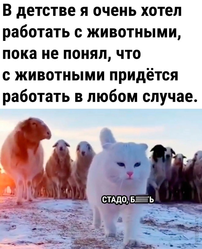 Улыбайтесь, господа, улыбайтесь! (17/06/2024)