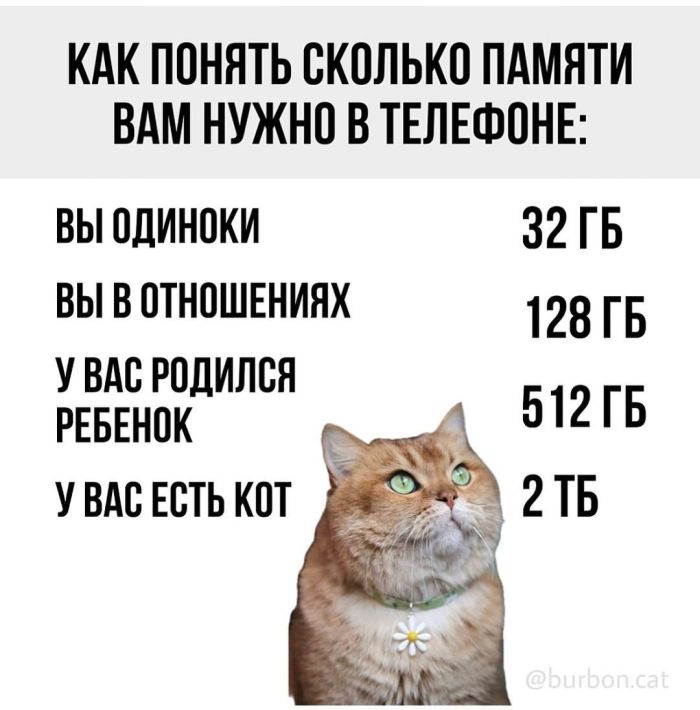 Улыбайтесь, господа, улыбайтесь! (23/12/2024)