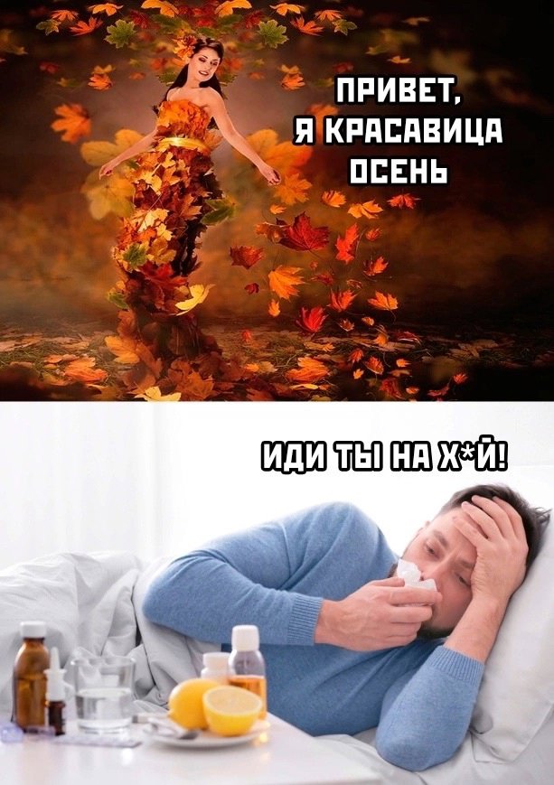 Улыбайтесь, господа, улыбайтесь! (24/09/2024)