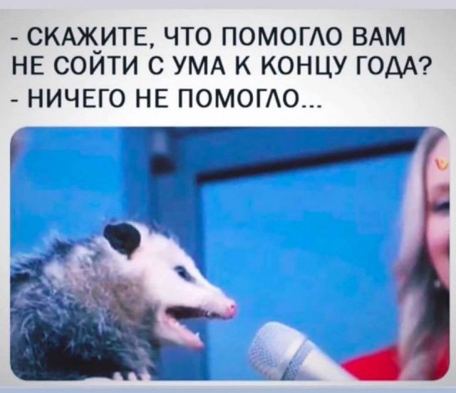 Лучшие шутки и мемы (24/12/2024)