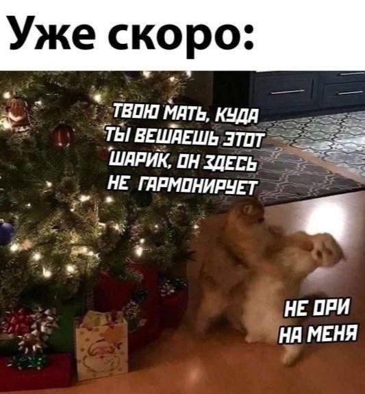 Улыбайтесь, господа, улыбайтесь! (24/12/2024)