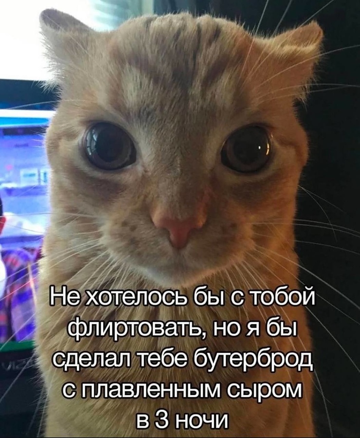 Улыбайтесь, господа, улыбайтесь! (25/12/2024)