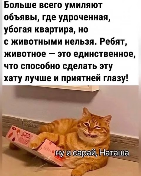 Улыбайтесь, господа, улыбайтесь! (23/12/2024)