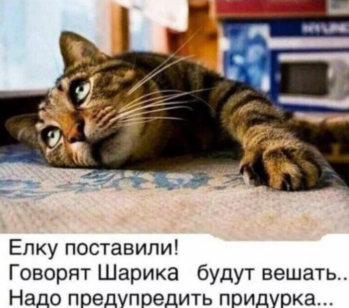 Улыбайтесь, господа, улыбайтесь! (23/12/2024)