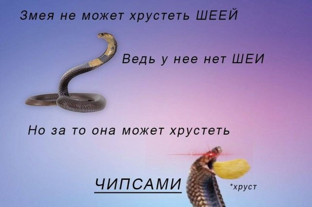 Лучшие шутки и мемы (21/09/2024)