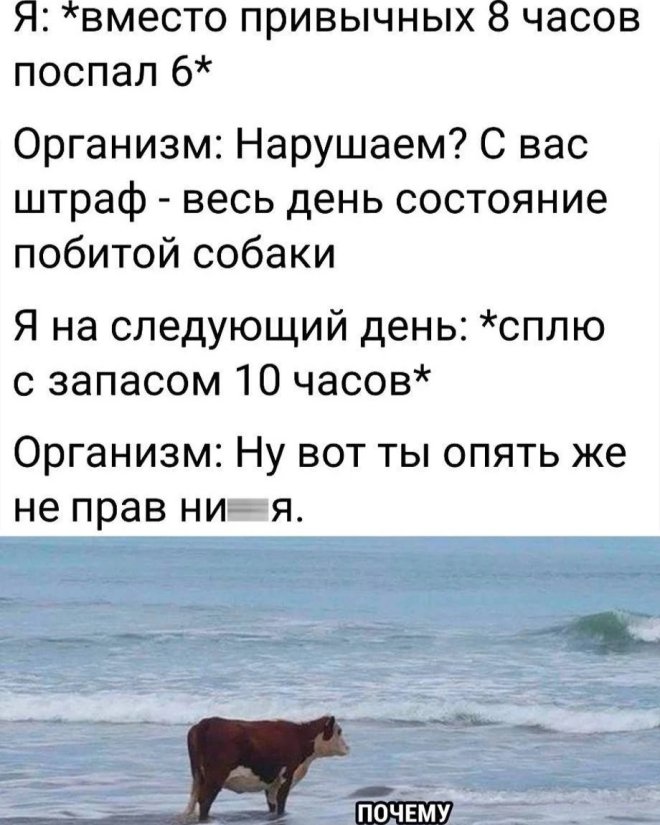 Улыбайтесь, господа, улыбайтесь! (16/12/2024)