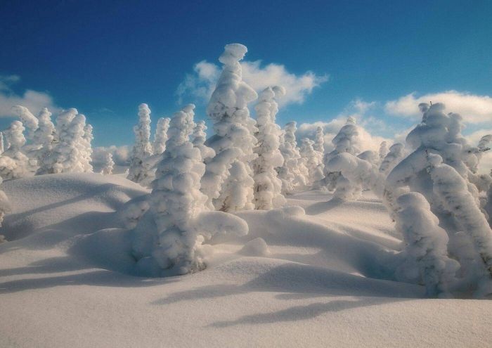 Улыбайтесь, господа, улыбайтесь! (27/12/2024)