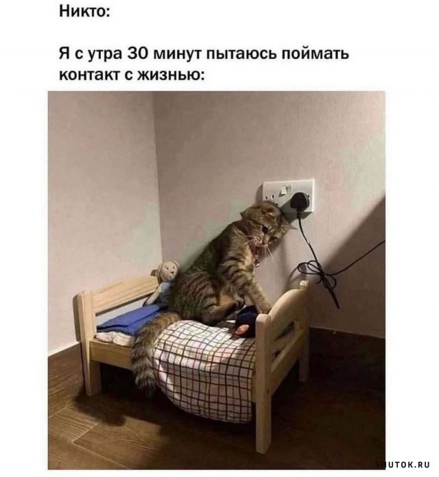 Улыбайтесь, господа, улыбайтесь! (11/10/2024)