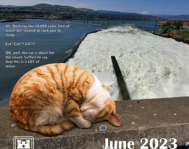 Армия США выпустила календарь, в котором гигантские коты разрушают американскую инфраструктуру
