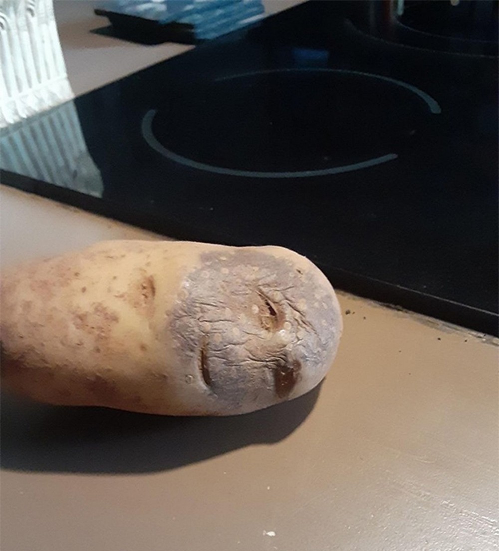 How do you steam potatoes фото 46
