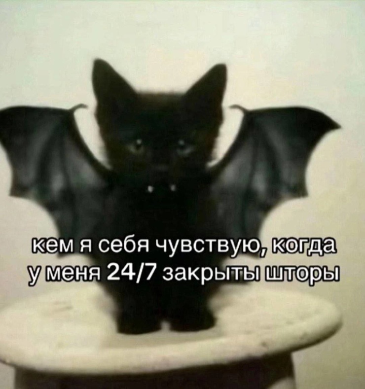 Улыбайтесь, господа, улыбайтесь! (05/06/2025)