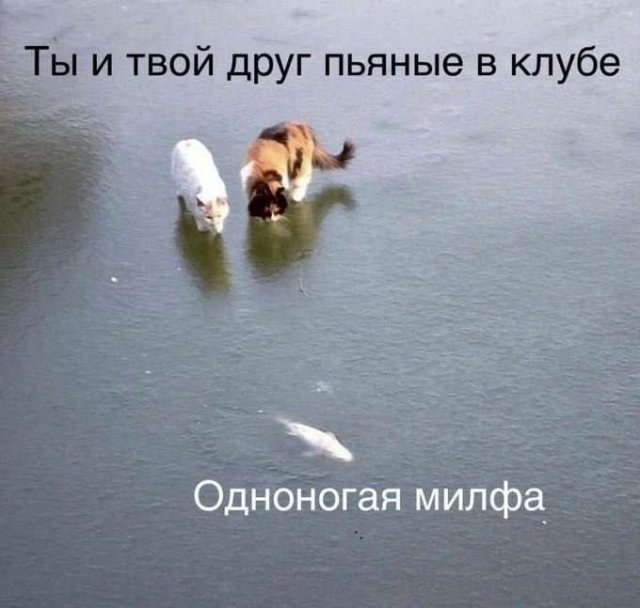 Смешные мемы