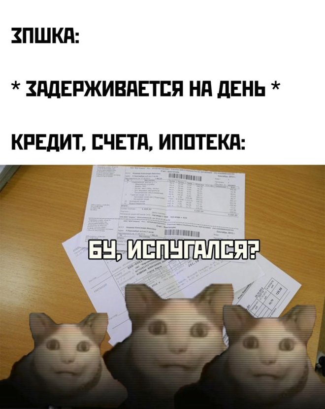 Улыбайтесь, господа, улыбайтесь! (11/11/2024)