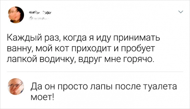 Подборка смешных комментариев с просторов Сети