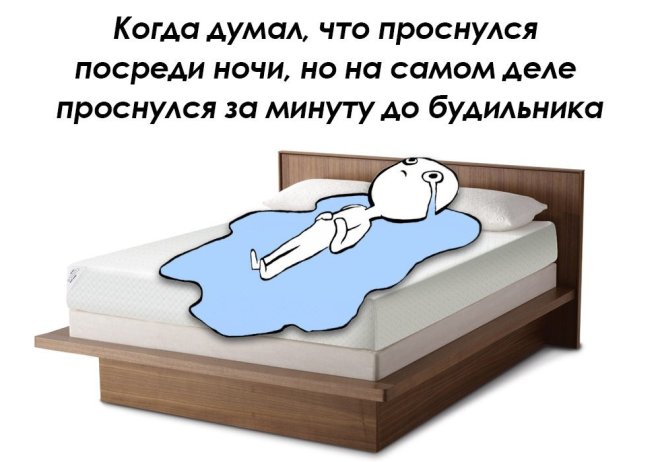 Улыбайтесь, господа, улыбайтесь! (16/12/2024)