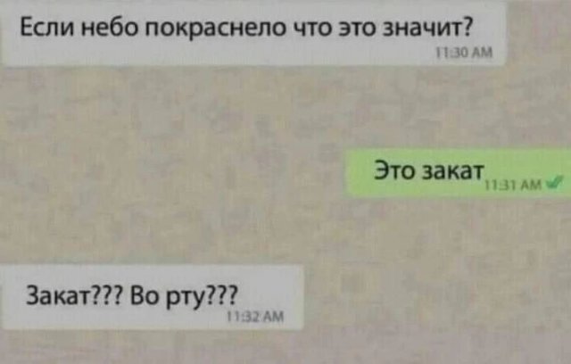 Лучшие шутки и мемы (21/06/2024)