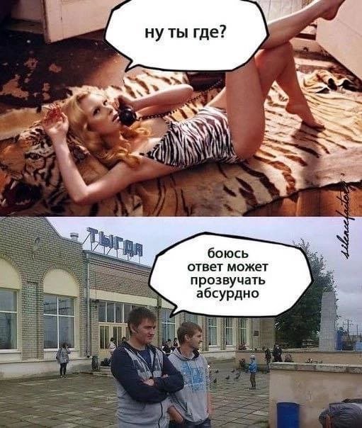 Улыбайтесь, господа, улыбайтесь! (27/11/2024)