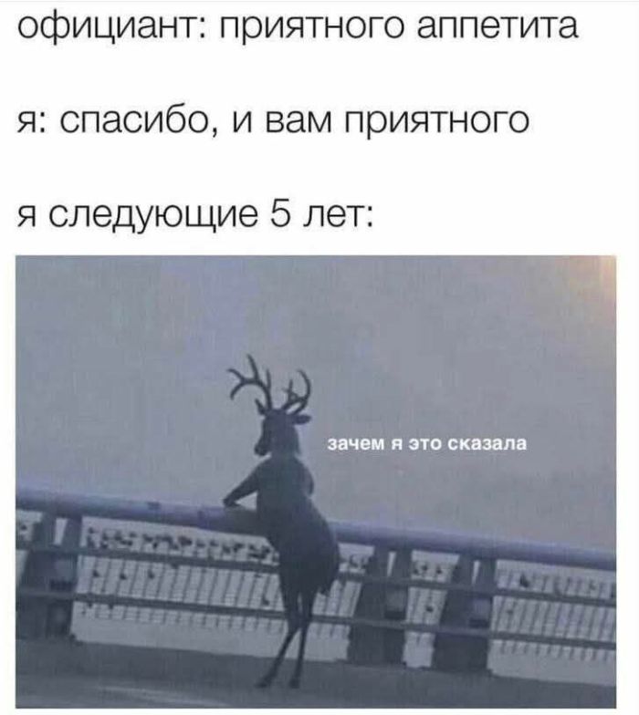 Улыбайтесь, господа, улыбайтесь! (23/12/2024)