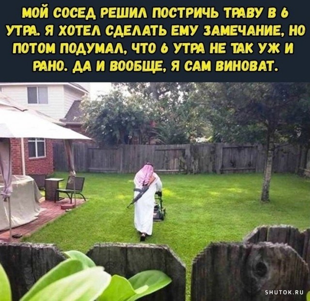 Улыбайтесь, господа, улыбайтесь! (23/10/2024)