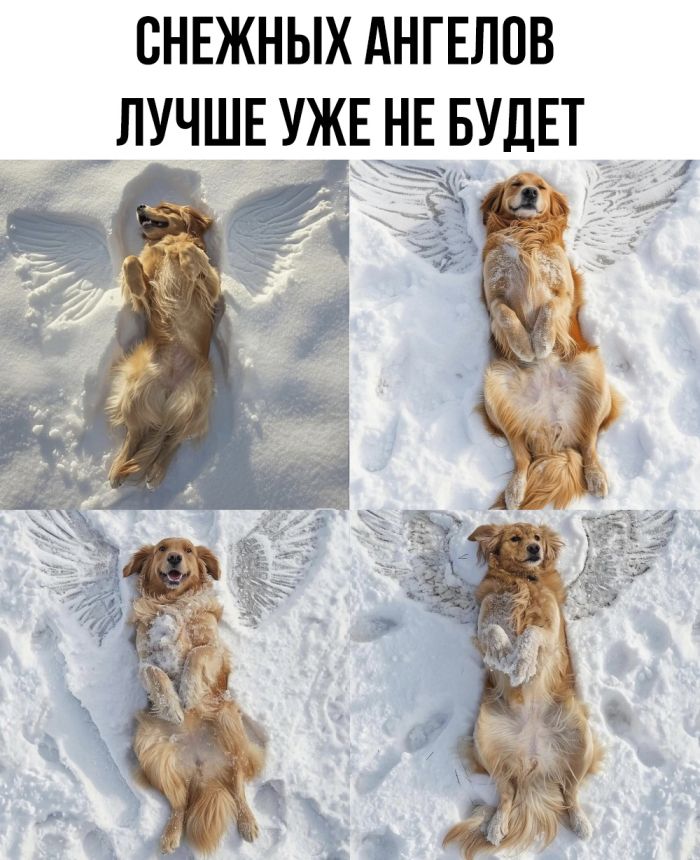 Улыбайтесь, господа, улыбайтесь! (23/12/2024)