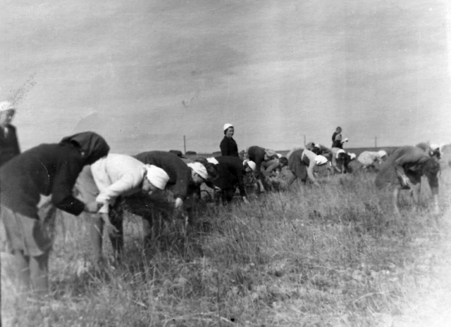 Ностальгические фотографии времен СССР