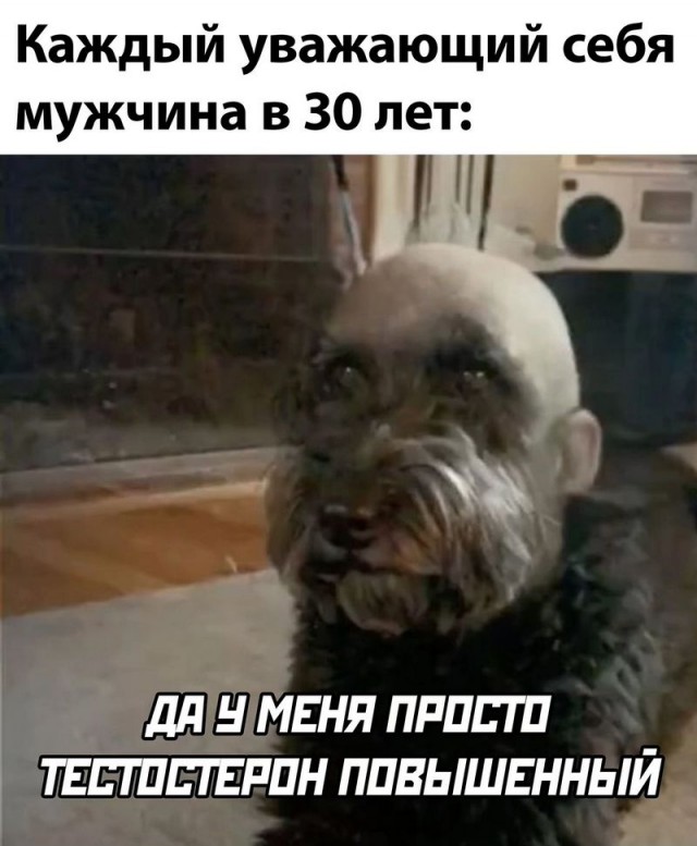 Улыбайтесь, господа, улыбайтесь! (18/11/2024)