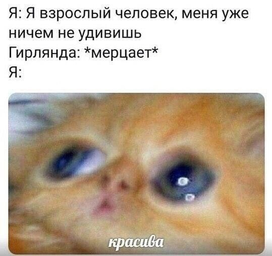 Улыбайтесь, господа, улыбайтесь! (23/12/2024)