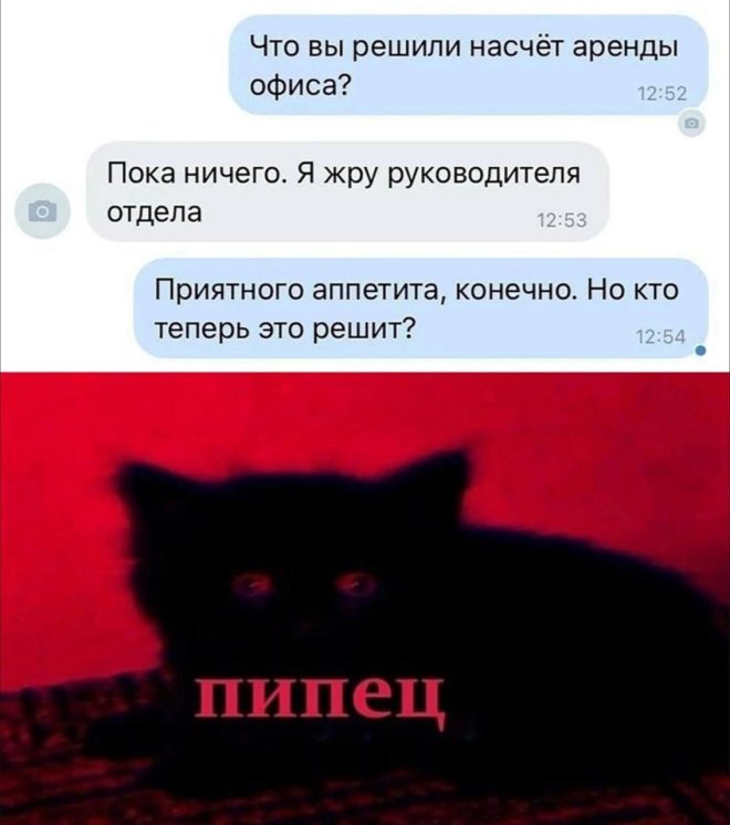 Улыбайтесь, господа, улыбайтесь! (14/10/2024)