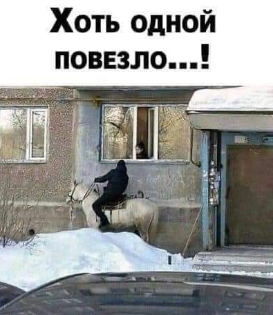 Улыбайтесь, господа, улыбайтесь! (13/11/2024)