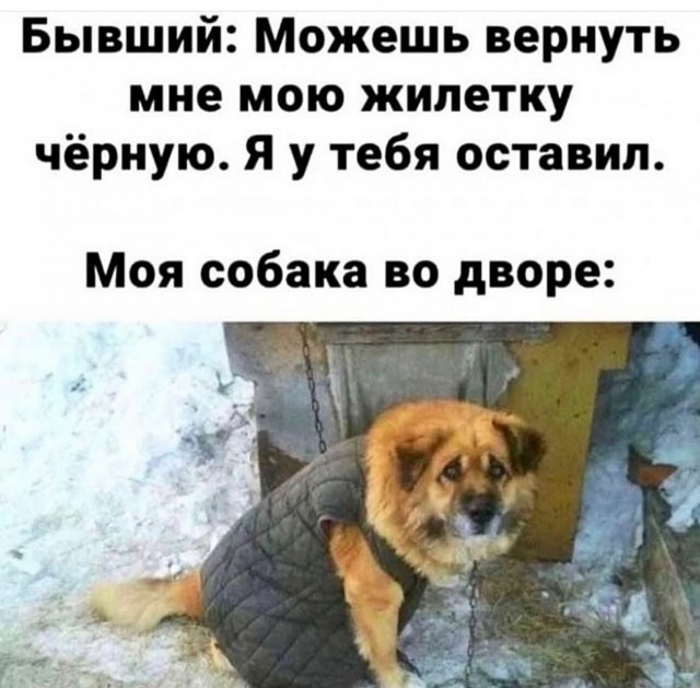 Улыбайтесь, господа, улыбайтесь! (13/12/2024)