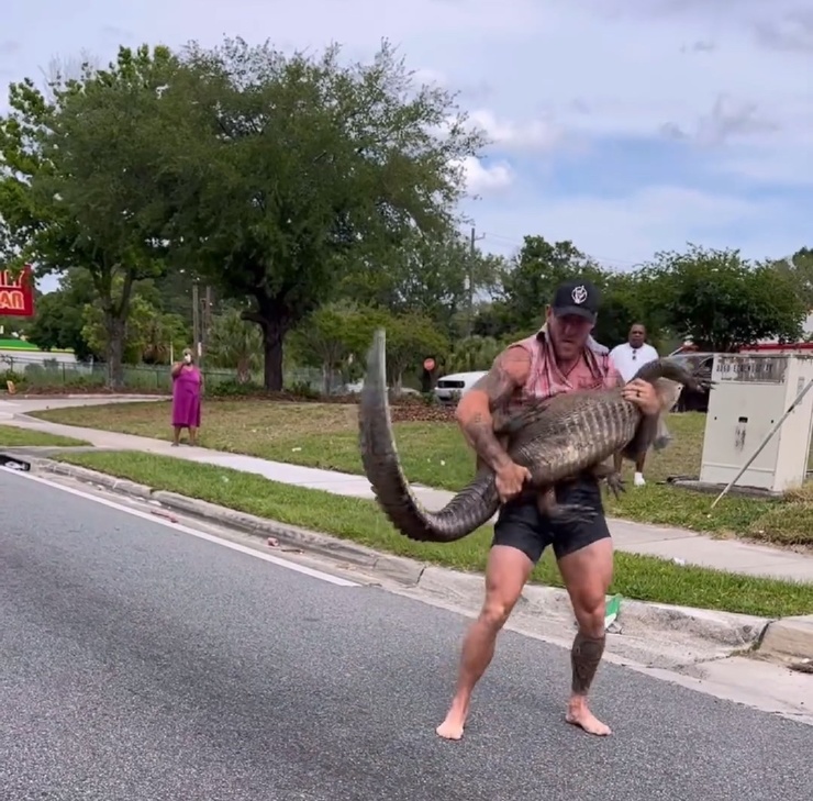Боец ММА голыми руками усмирил 2,5-метрового аллигатора, бродящего по улицам Джексонвилля
