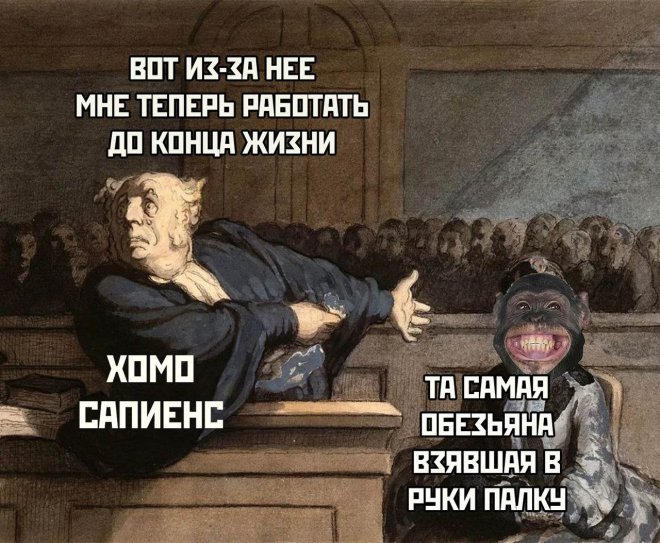 Улыбайтесь, господа, улыбайтесь! (05/11/2024)