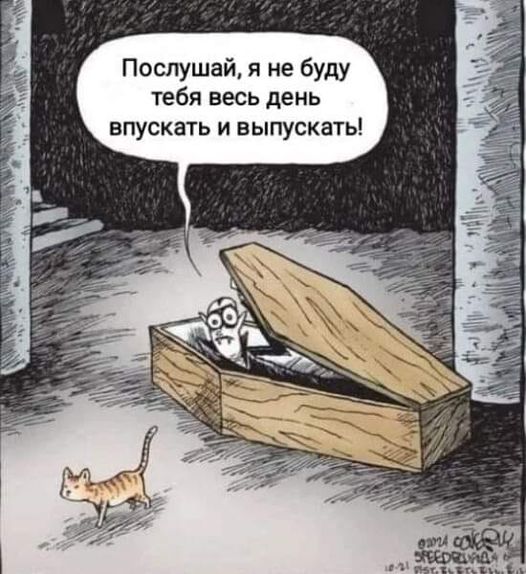 Улыбайтесь, господа, улыбайтесь! (07/11/2024)