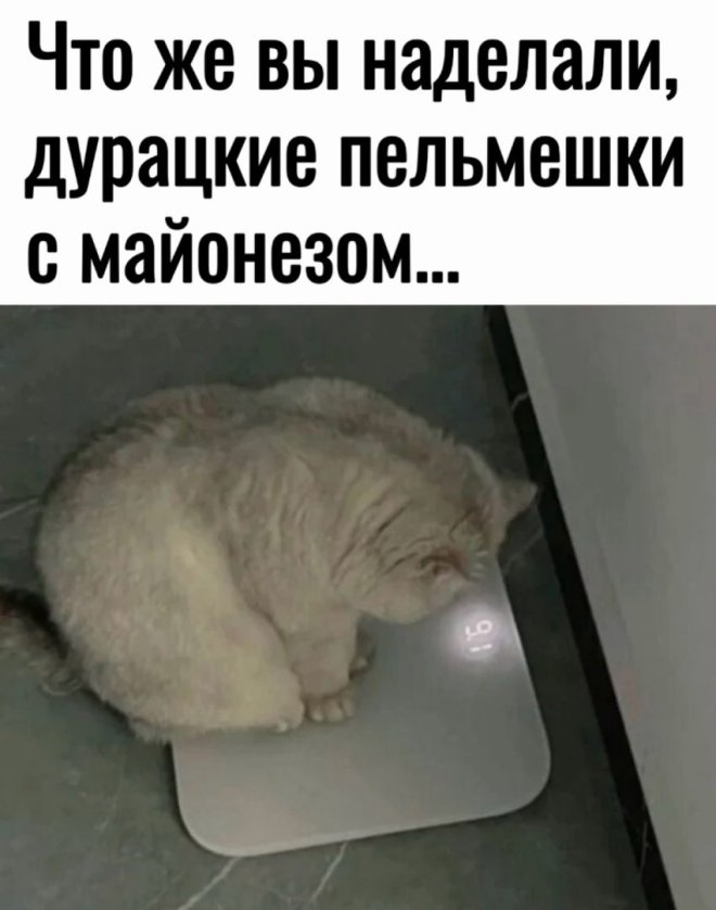 Улыбайтесь, господа, улыбайтесь! (14/11/2024)