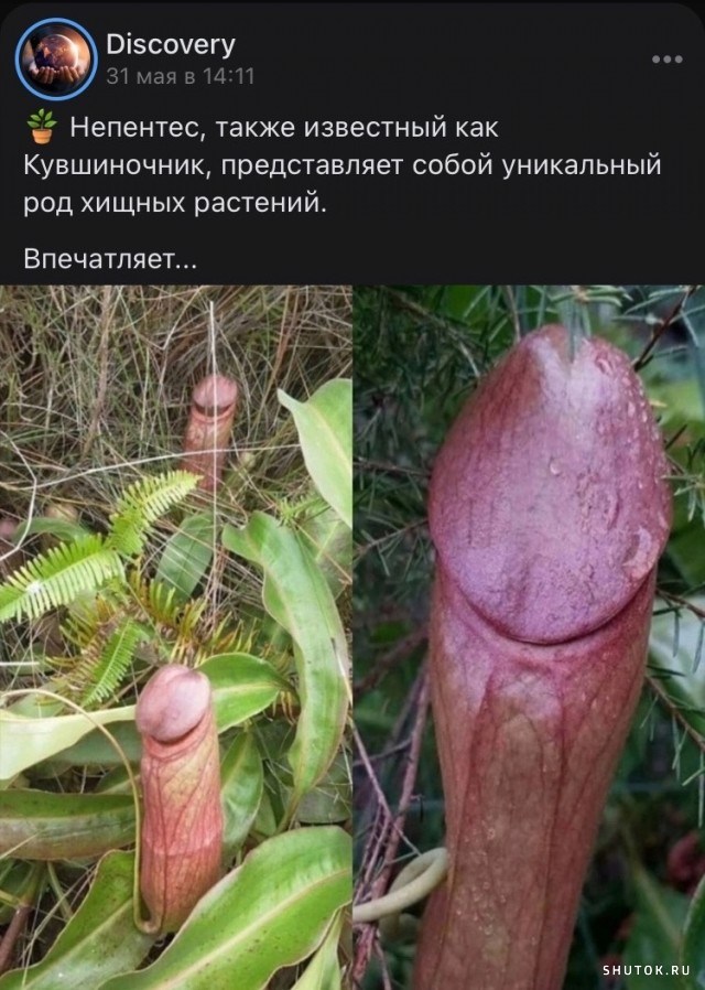 Черный, пошлый и прочий юмор в картинках, 30 штук