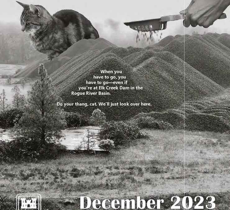 Армия США выпустила календарь, в котором гигантские коты разрушают американскую инфраструктуру