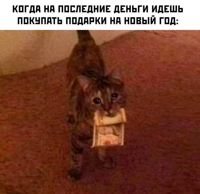 Улыбайтесь, господа, улыбайтесь! (27/12/2024)