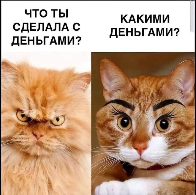 Улыбайтесь, господа, улыбайтесь! (16/04/2025)