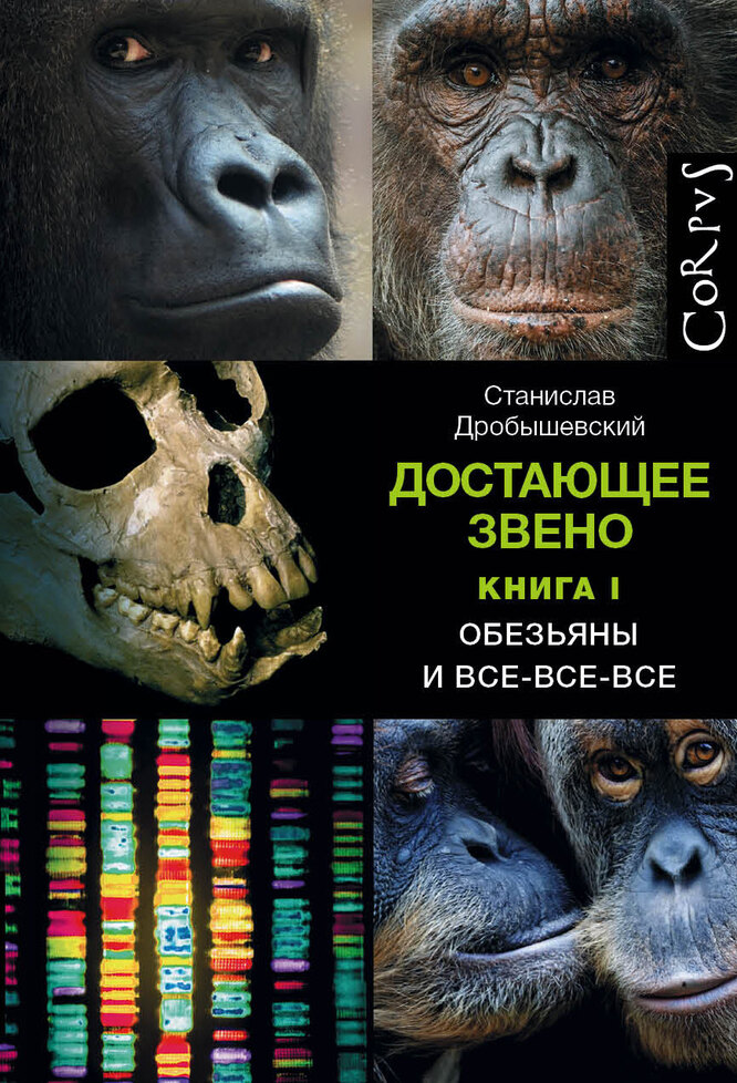 Объяснение главного: 5 книг, которые расскажут все об эволюции человека