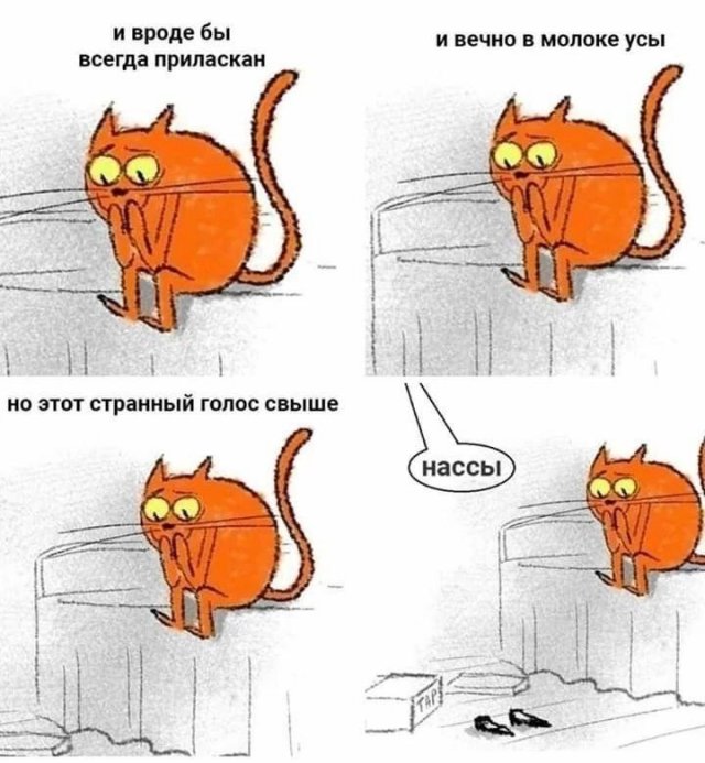 Улыбайтесь, господа, улыбайтесь! (27/11/2024)