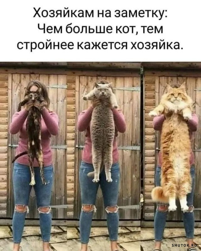 Улыбайтесь, господа, улыбайтесь! (11/10/2024)